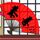 捉迷藏